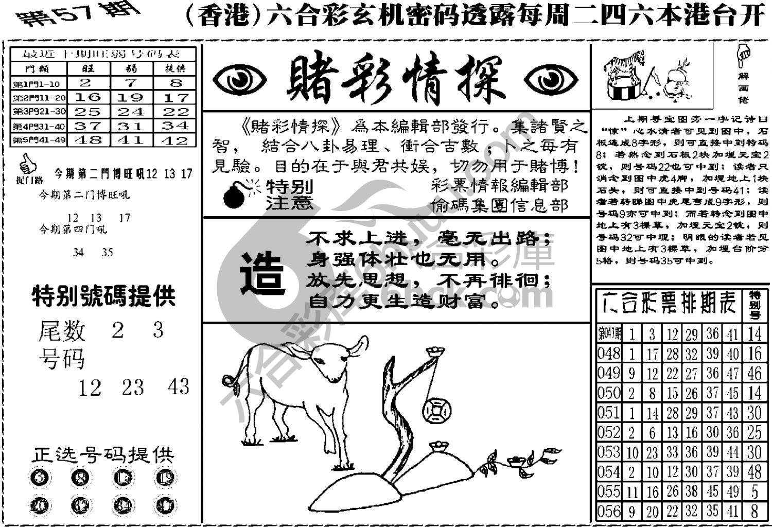 赌彩情探