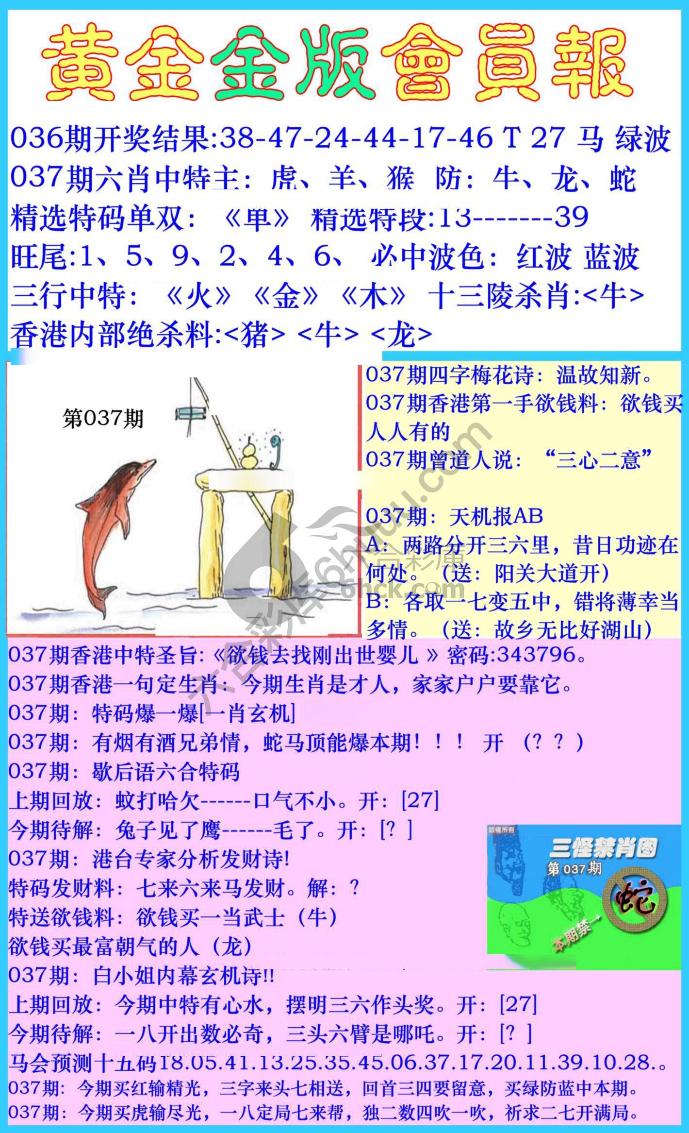 黄金金版会员报