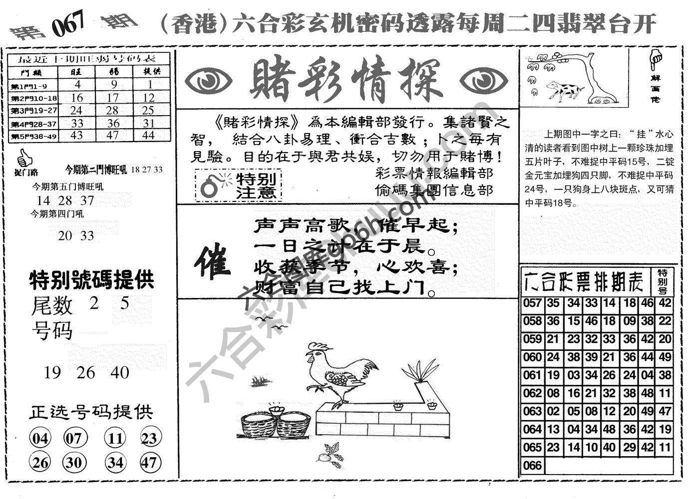 赌彩情探