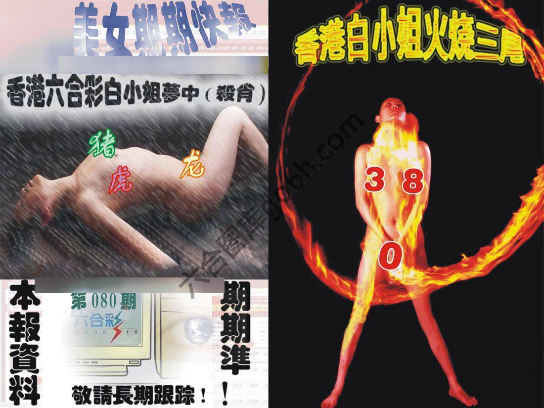 环球美女特码报