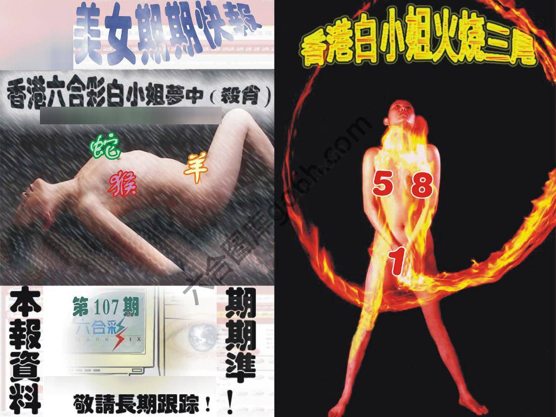 环球美女特码报