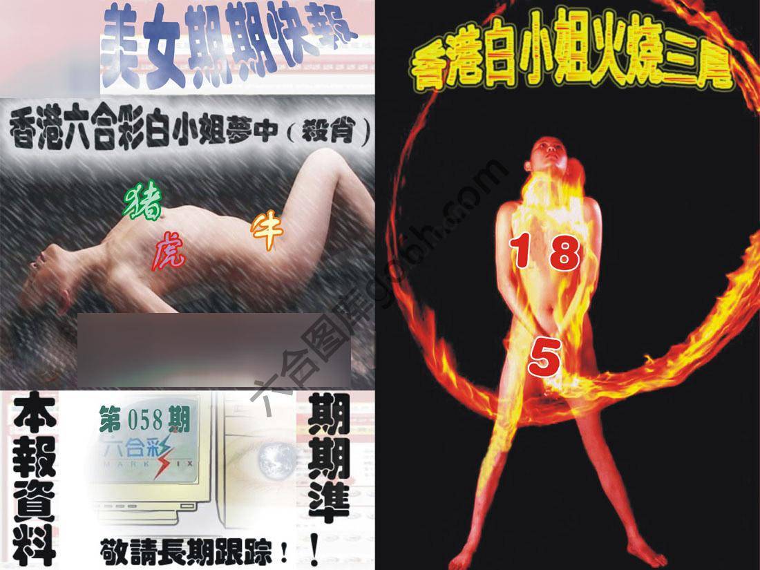 环球美女特码报