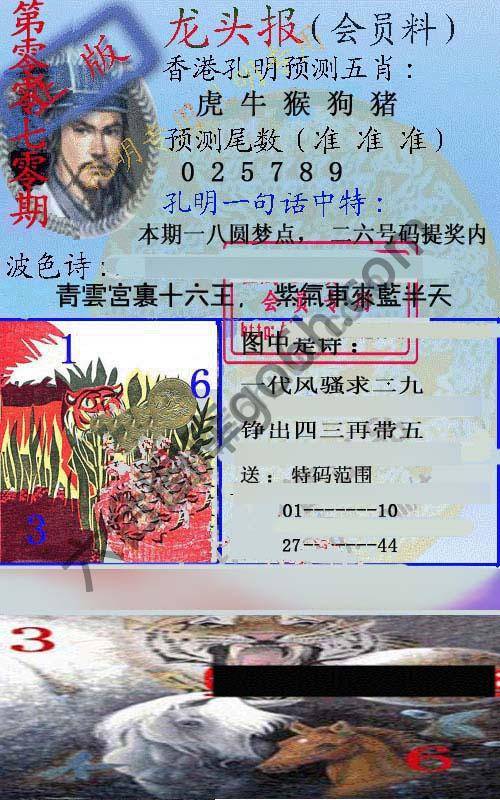 龙头报