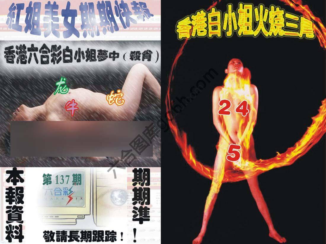 环球美女特码报