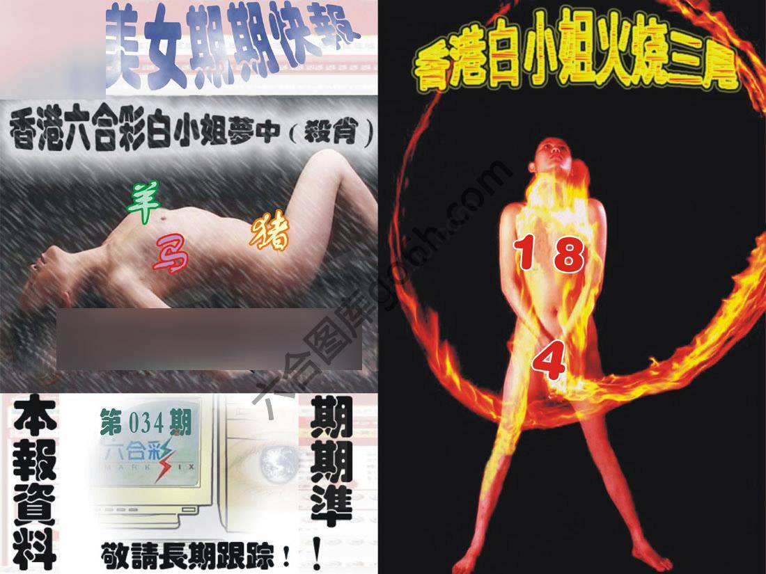 环球美女特码报