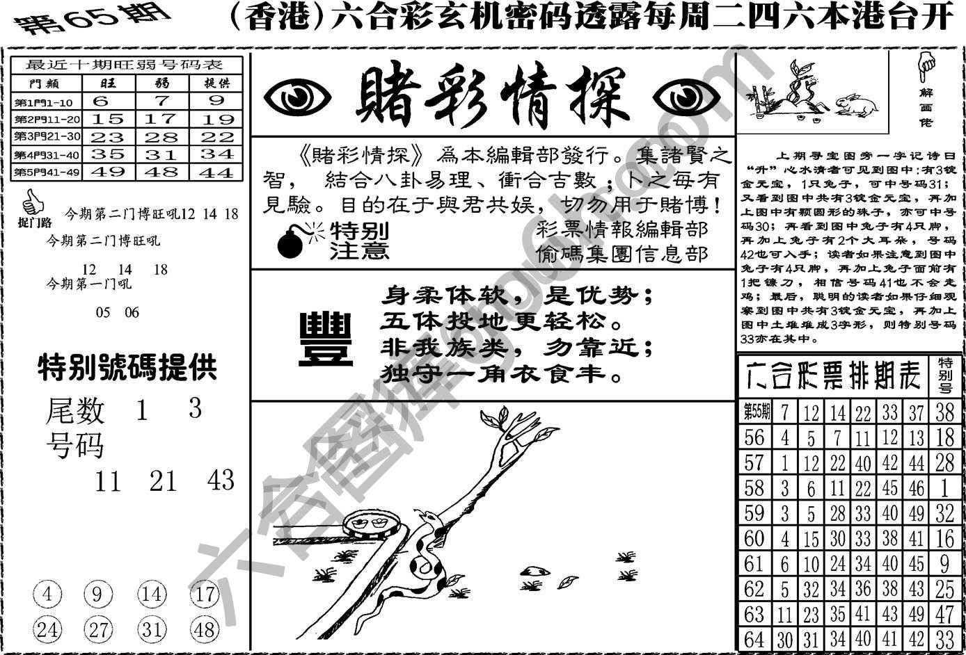 赌彩情探