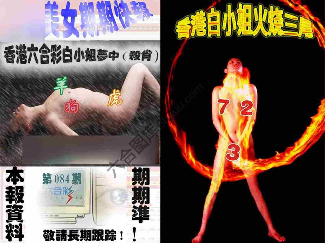 环球美女特码报