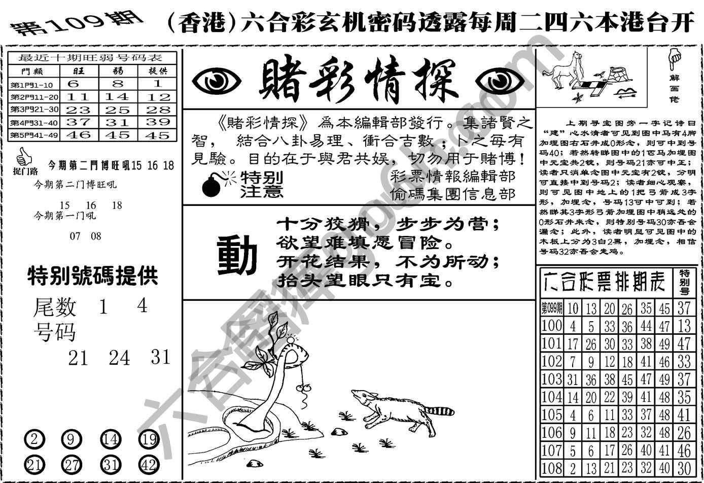 赌彩情探