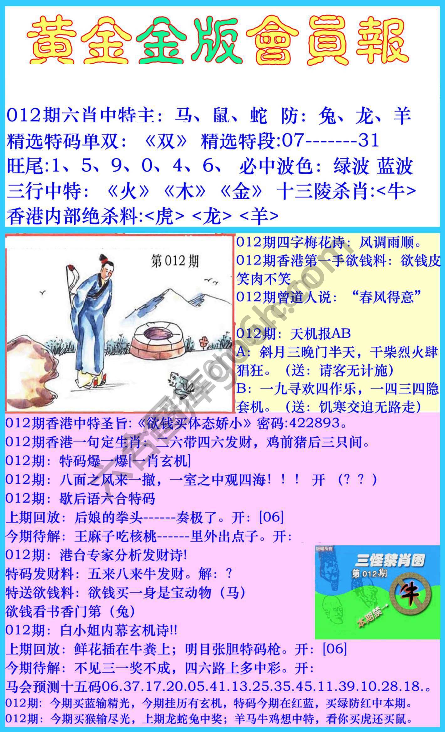 黄金金版会员报