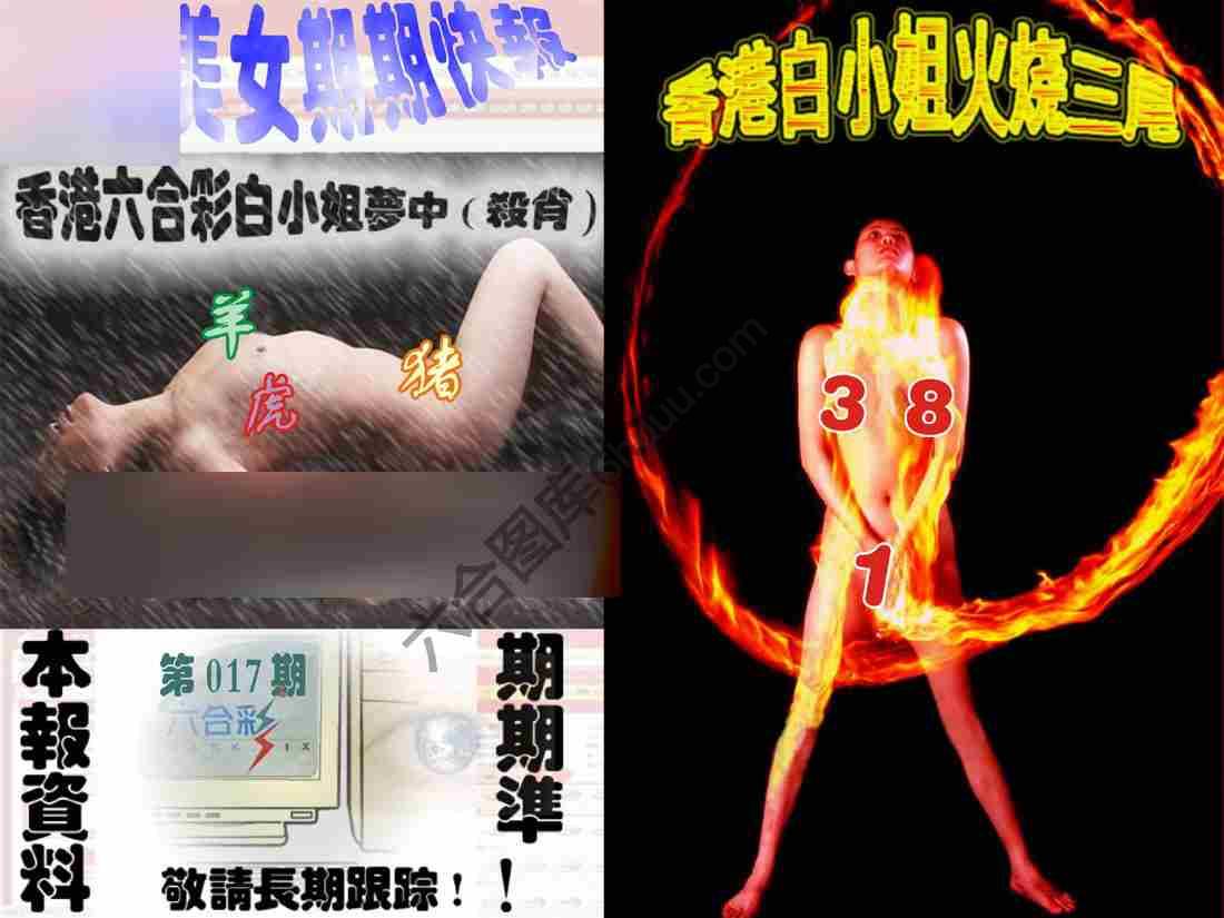 环球美女特码报