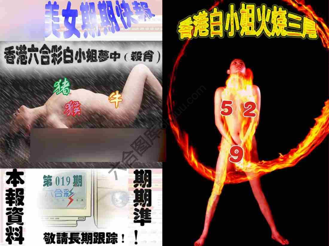 环球美女特码报