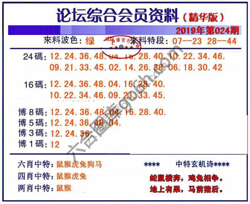 综合会员资料