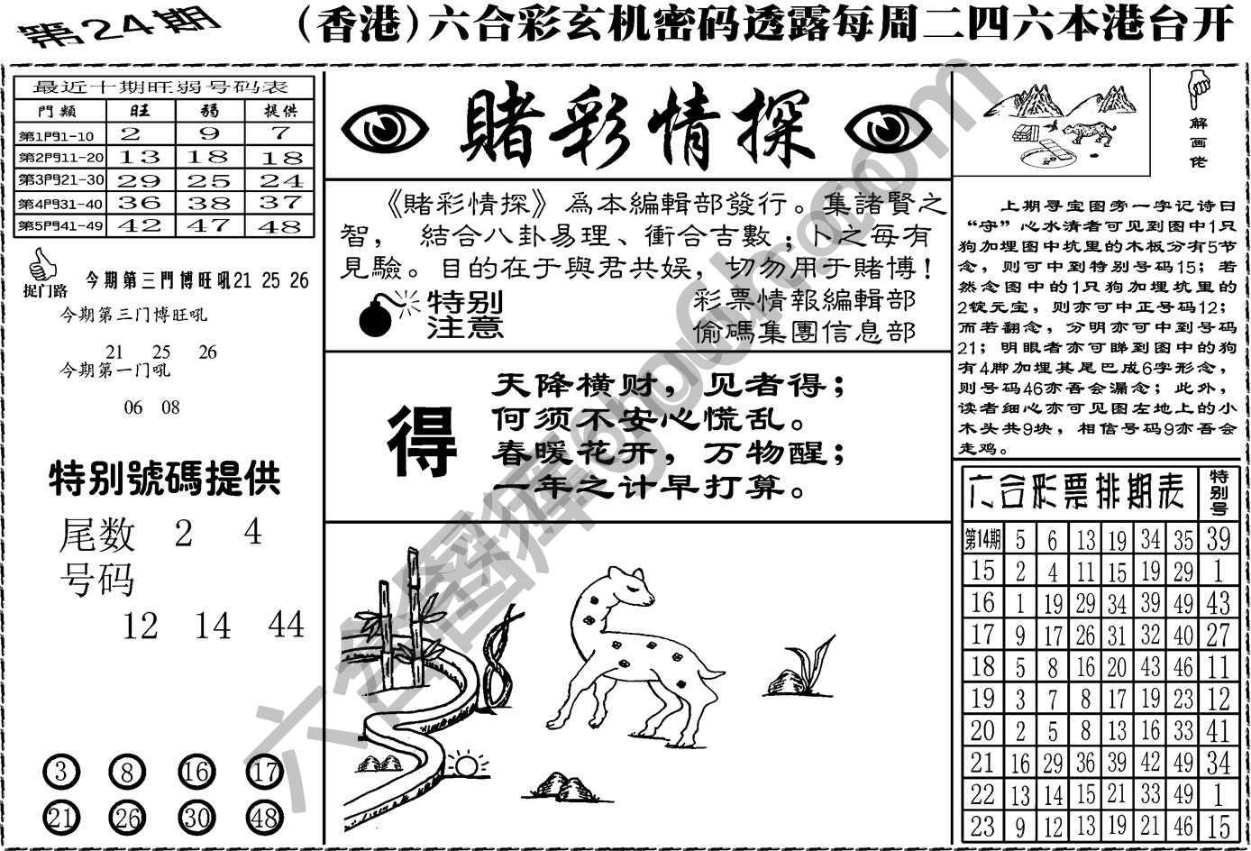 赌彩情探