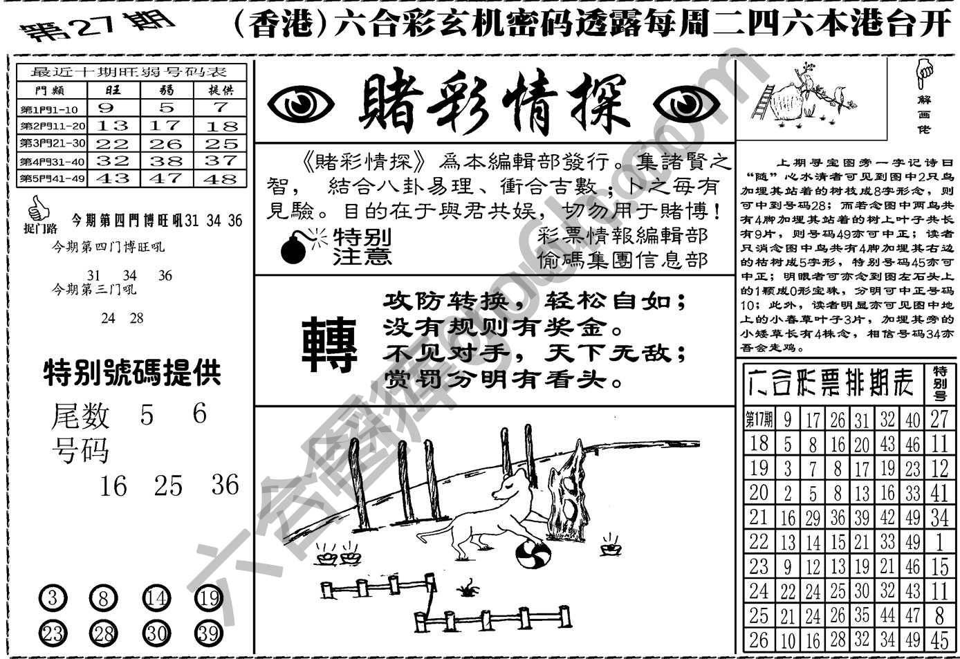 赌彩情探