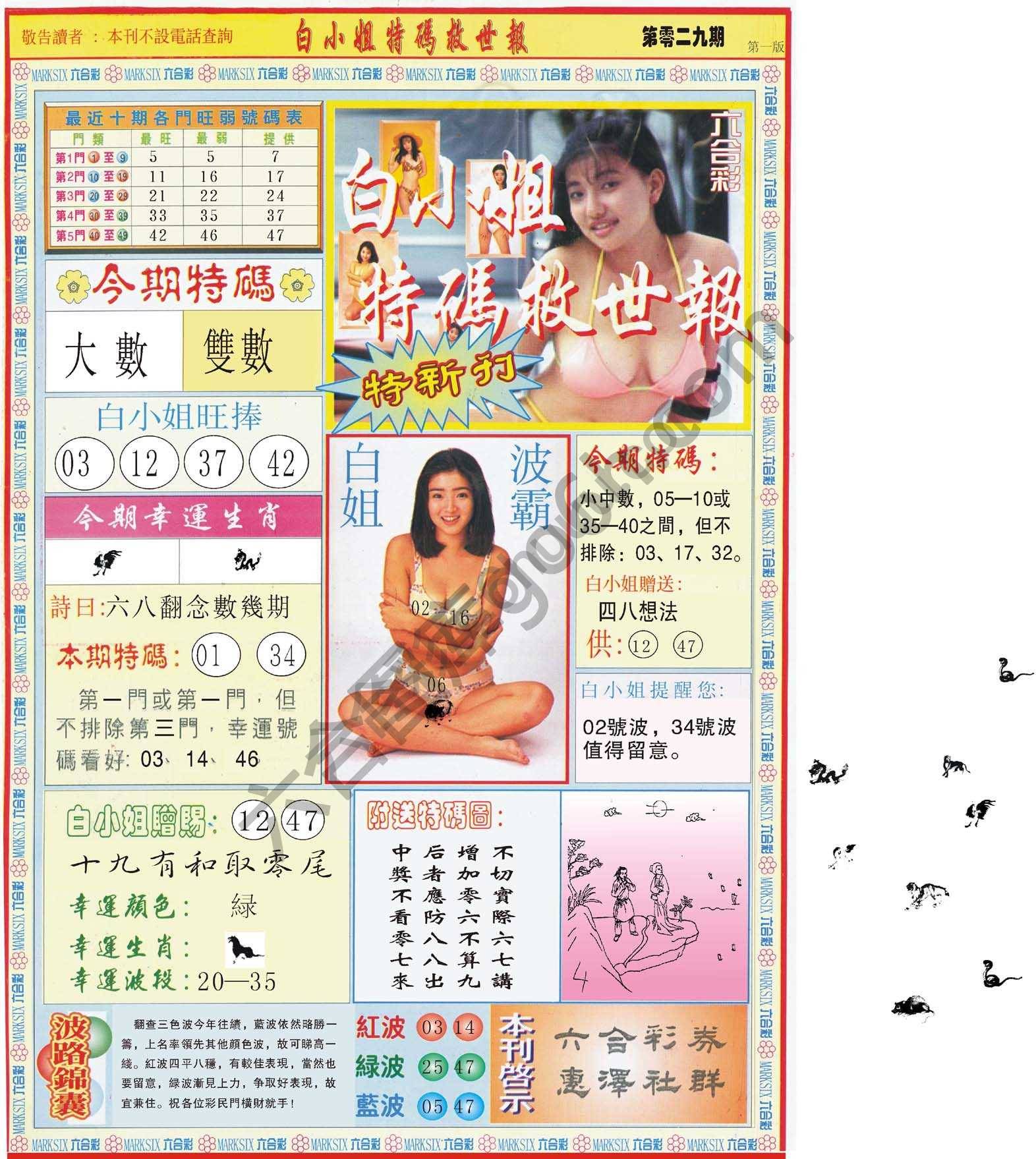 白小姐新特刊