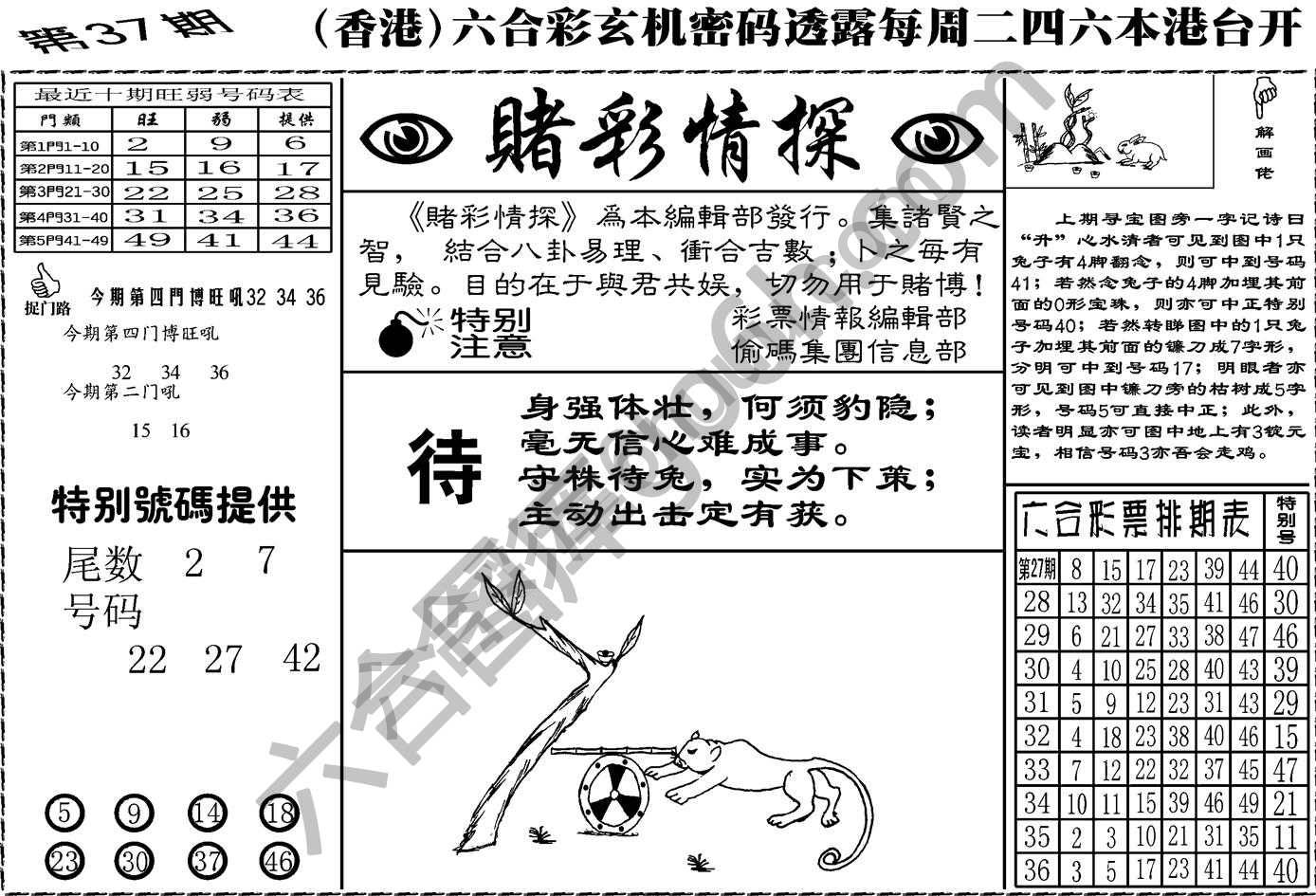 赌彩情探