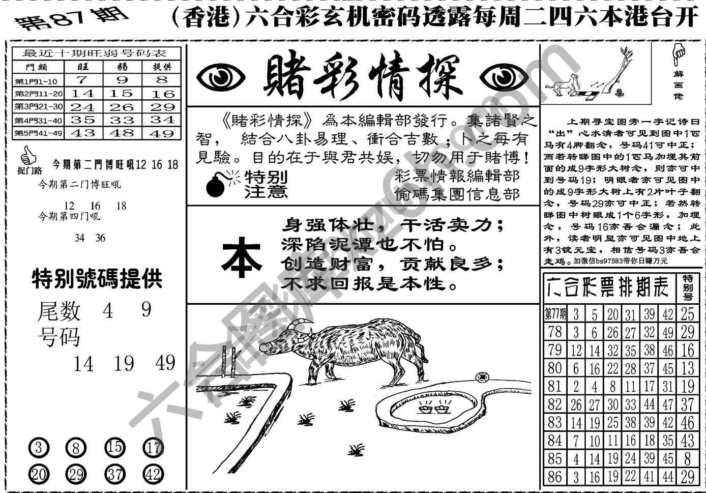 赌彩情探