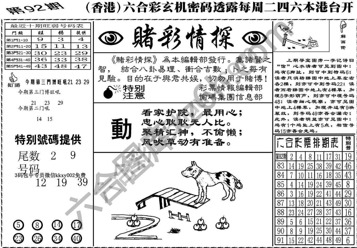 赌彩情探