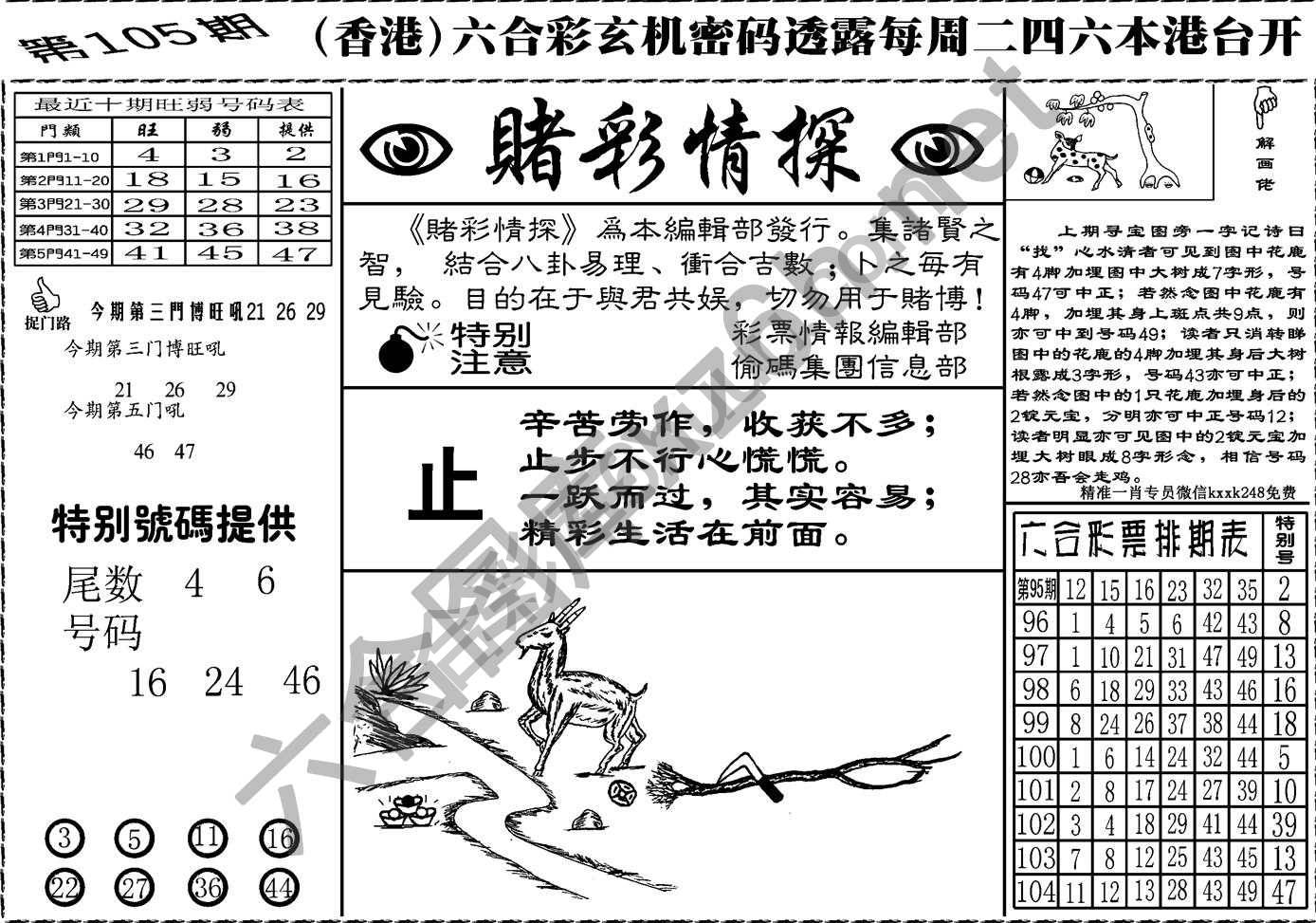 赌彩情探