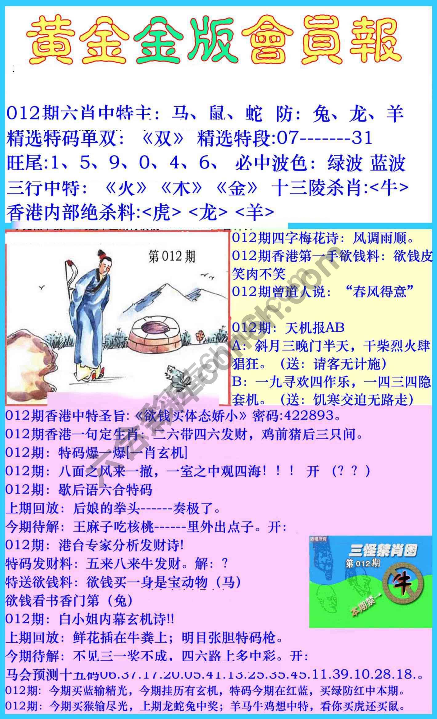 黄金金版会员报