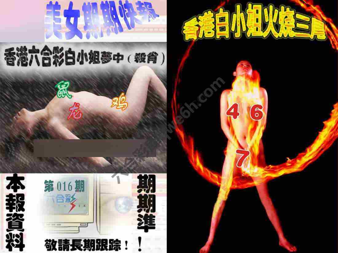 环球美女特码报