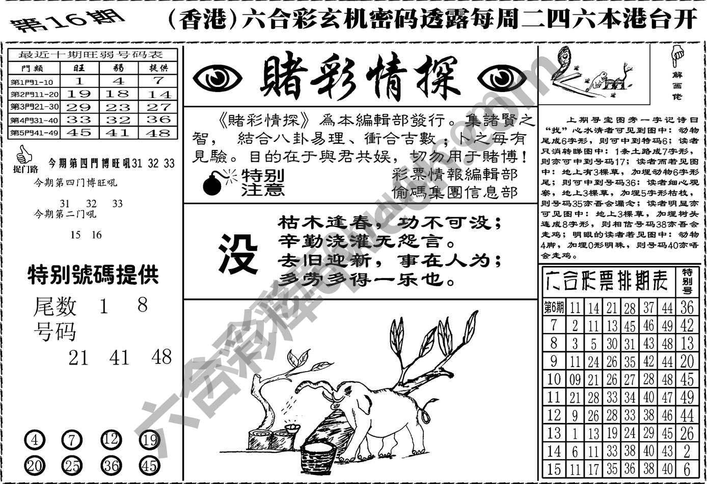 赌彩情探