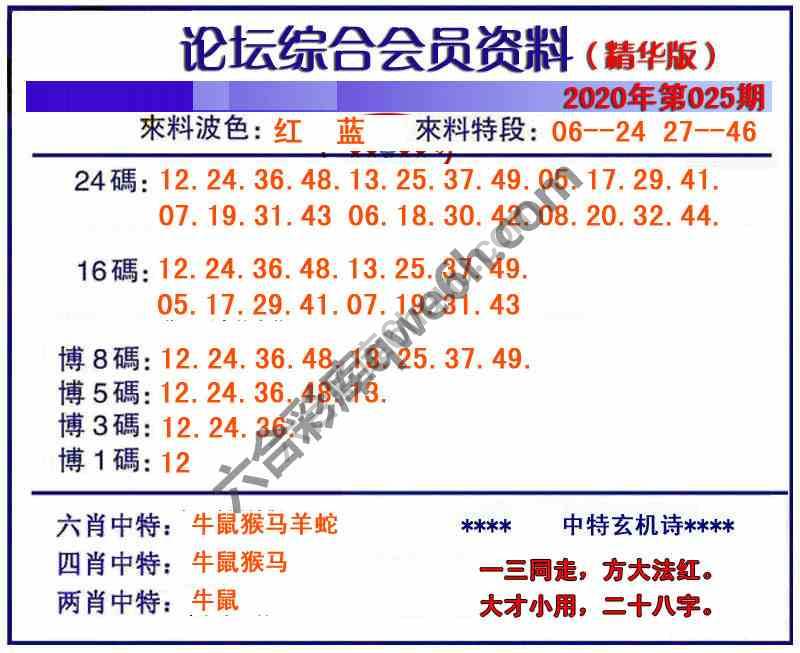 综合会员资料