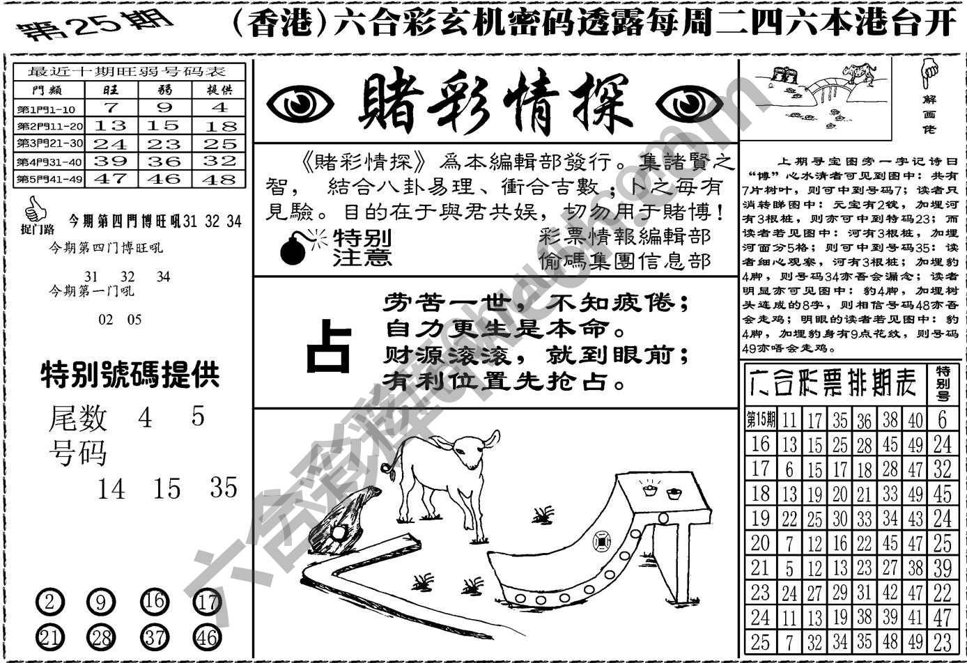 赌彩情探