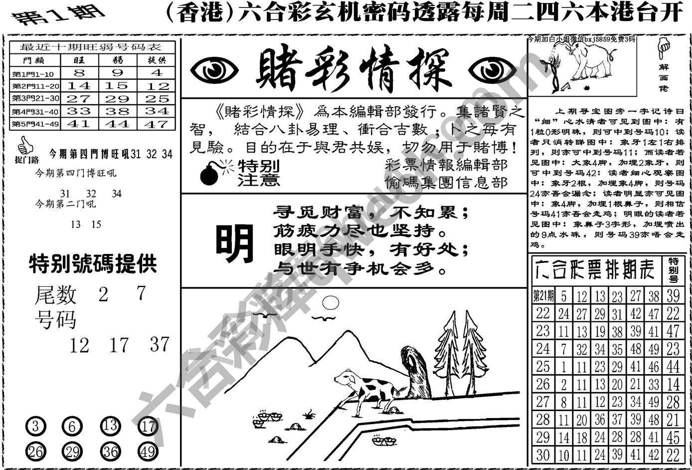 赌彩情探