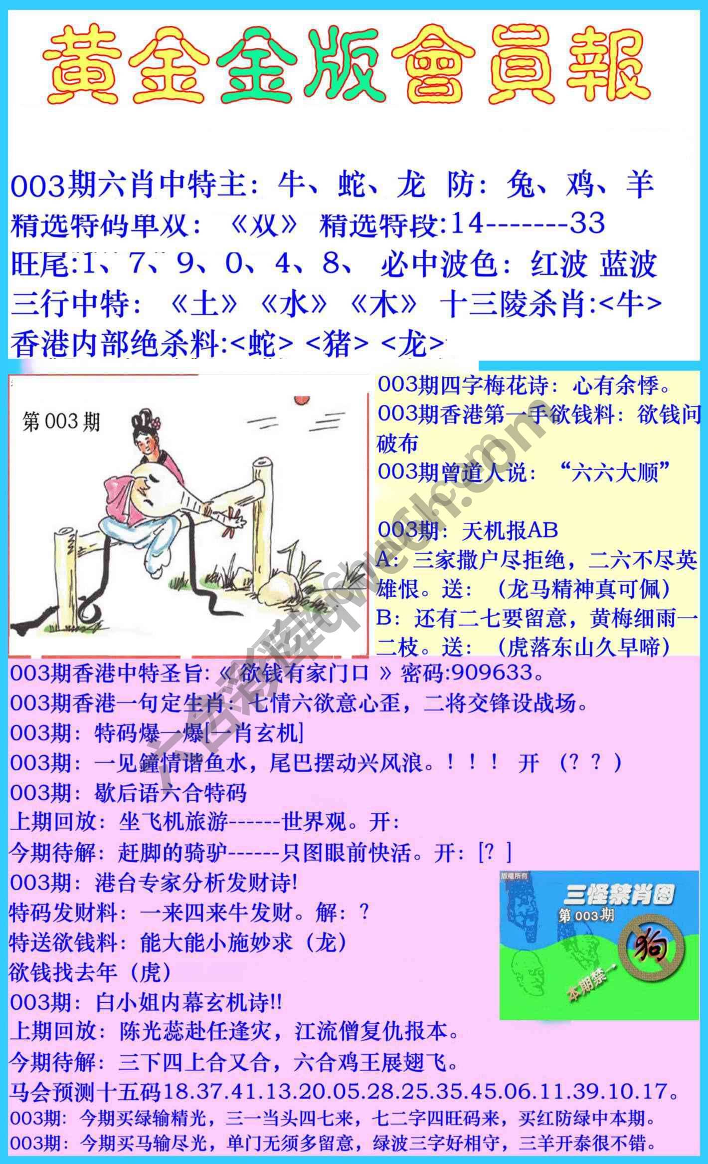 黄金金版会员报