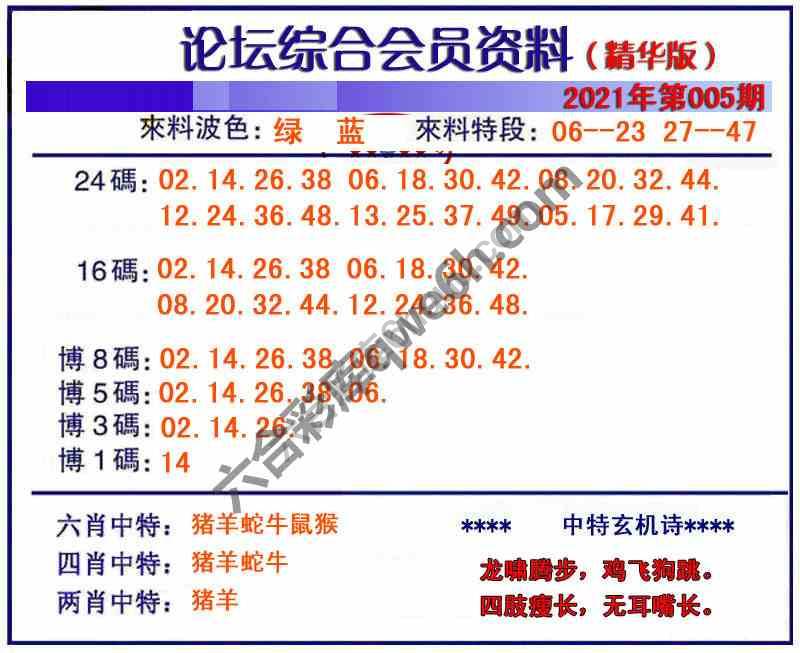 综合会员资料