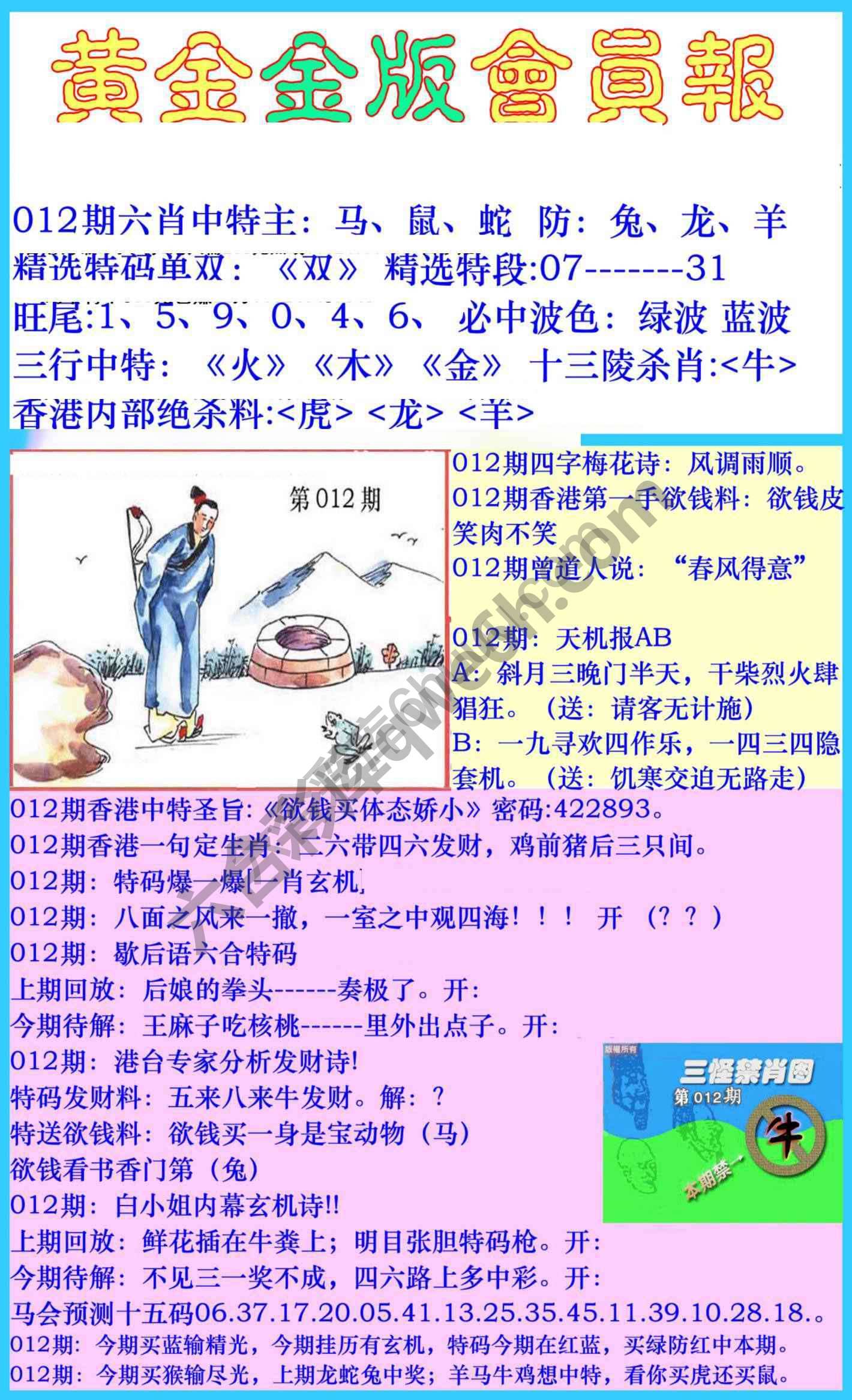 黄金金版会员报