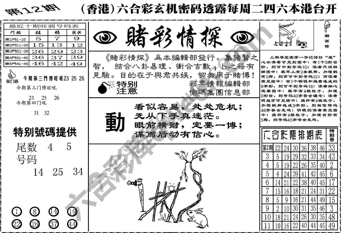 赌彩情探