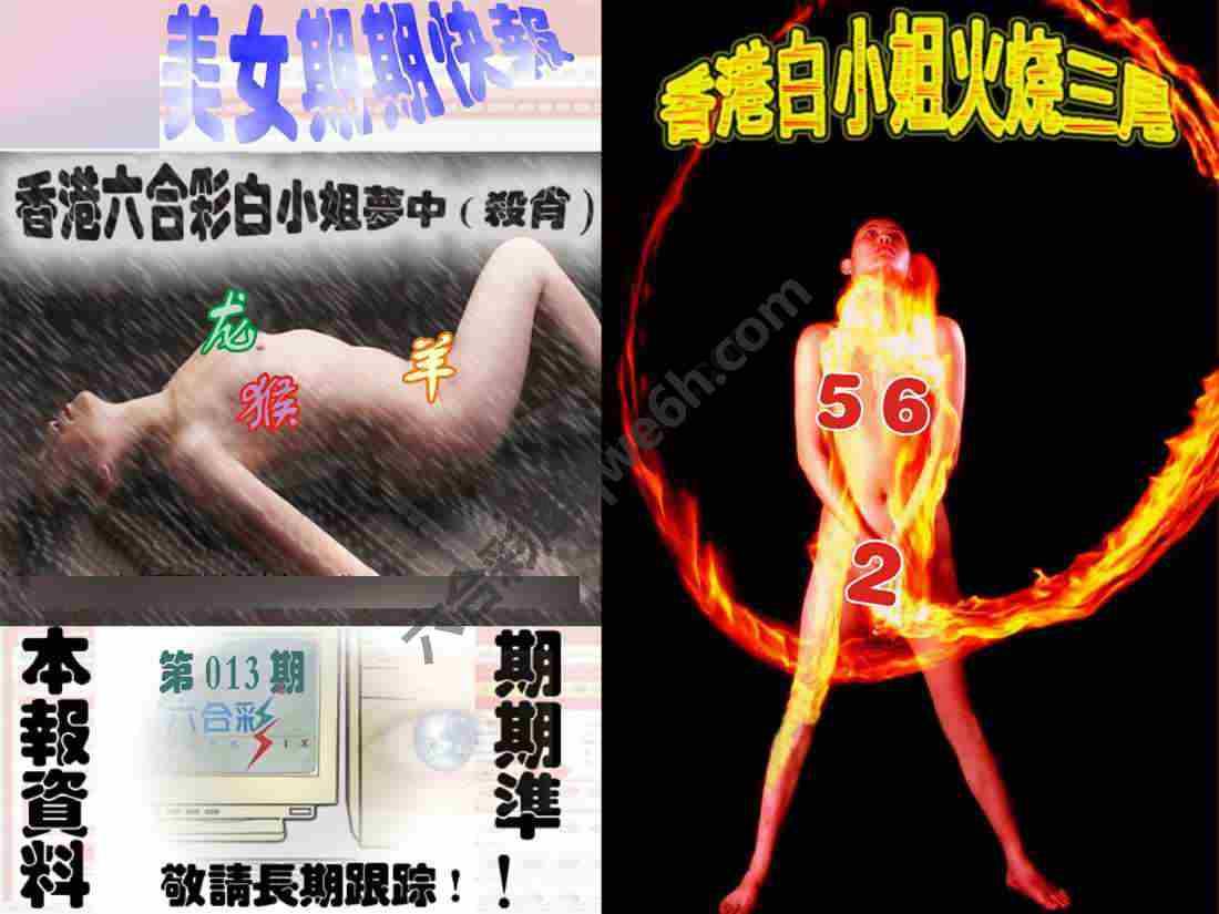 环球美女特码报