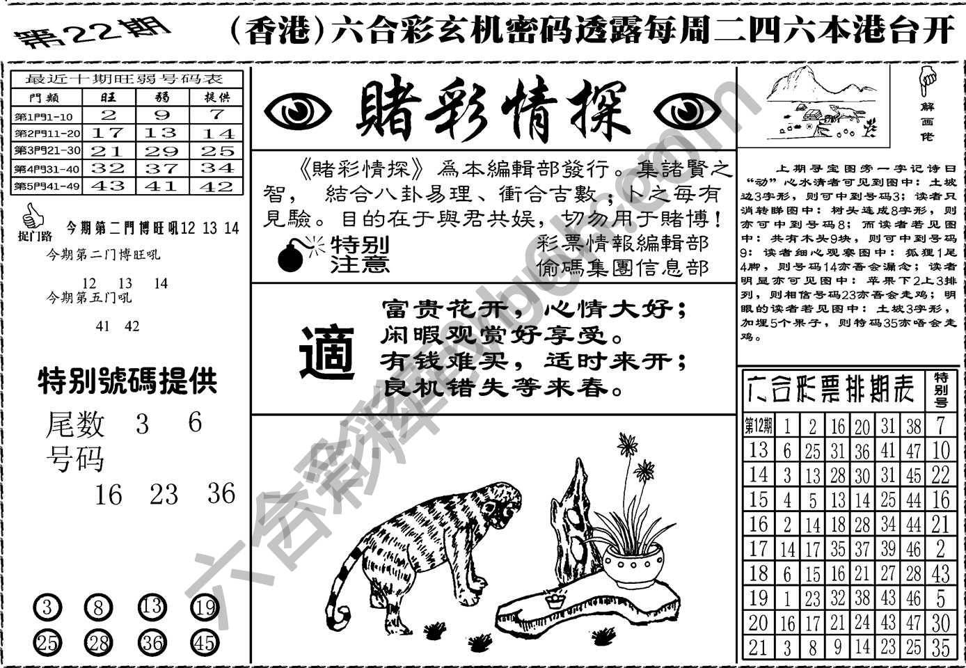 赌彩情探