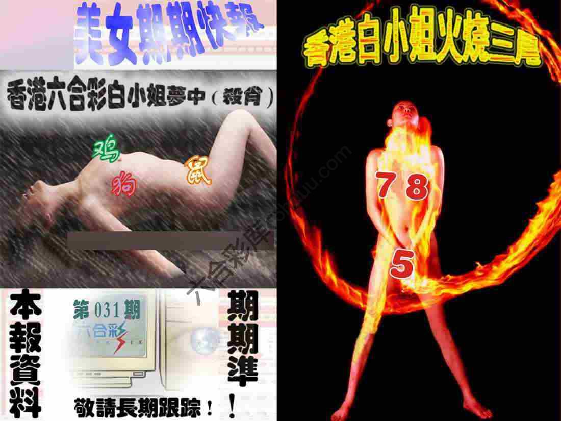 环球美女特码报