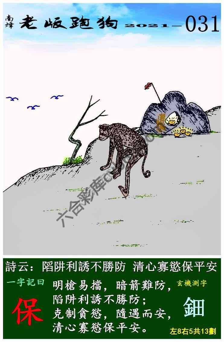 老版跑狗图