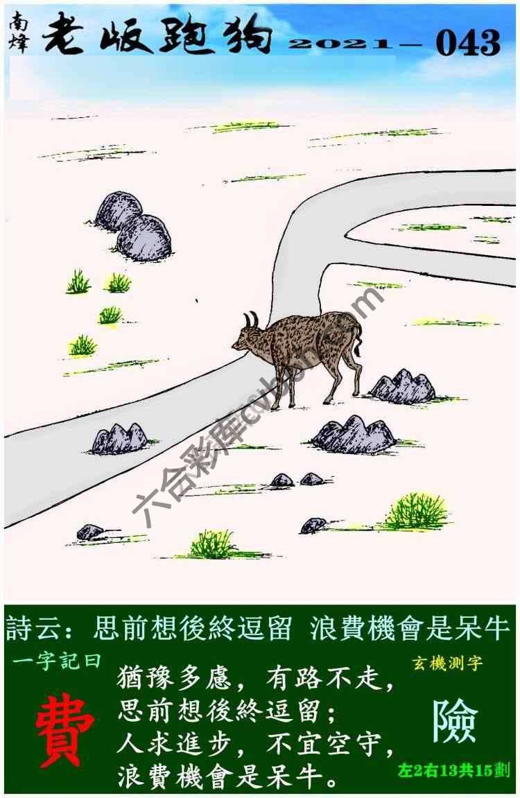 老版跑狗图