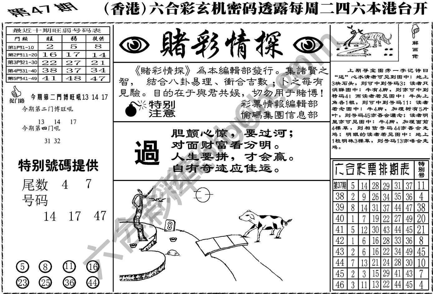 赌彩情探