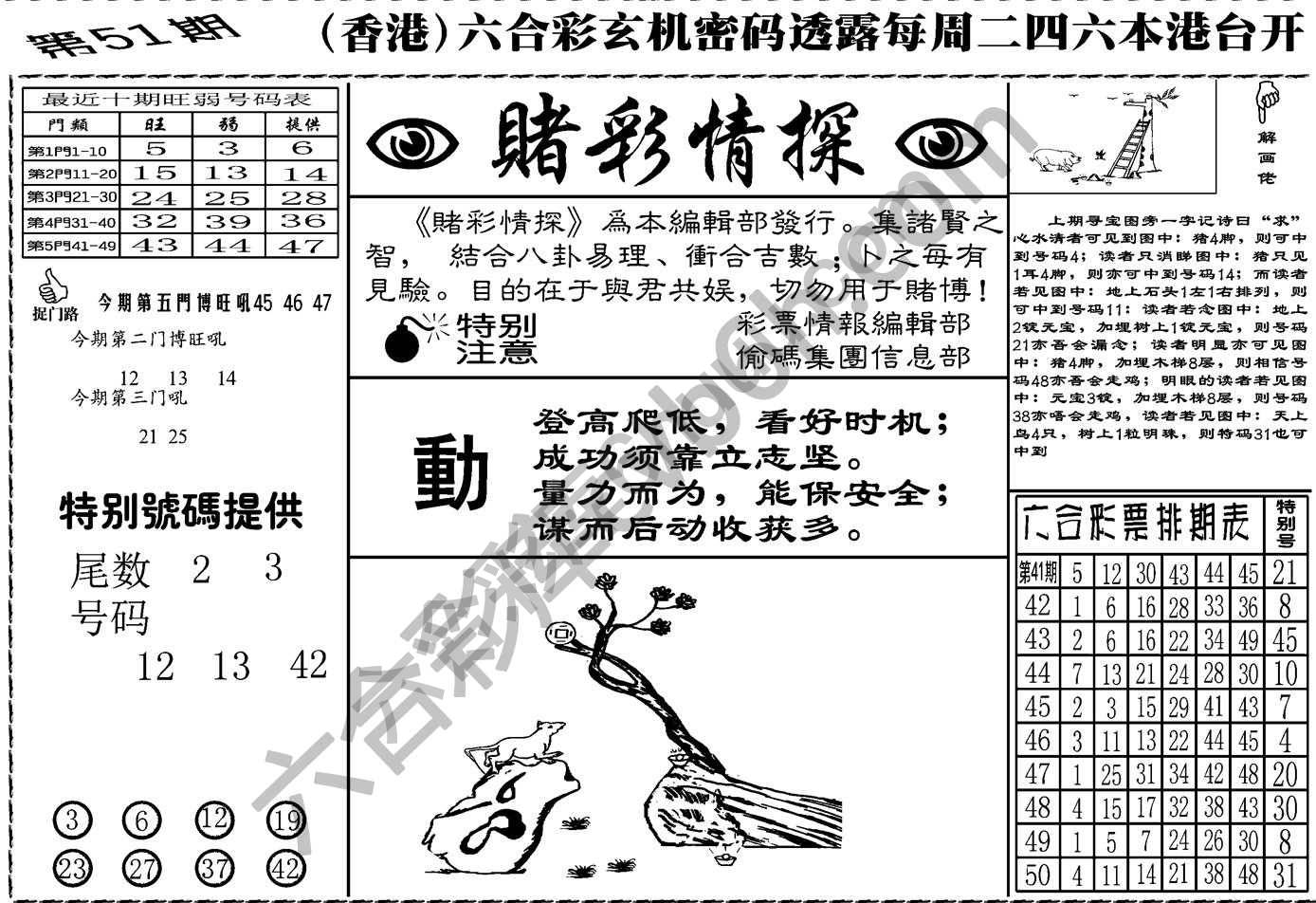 赌彩情探