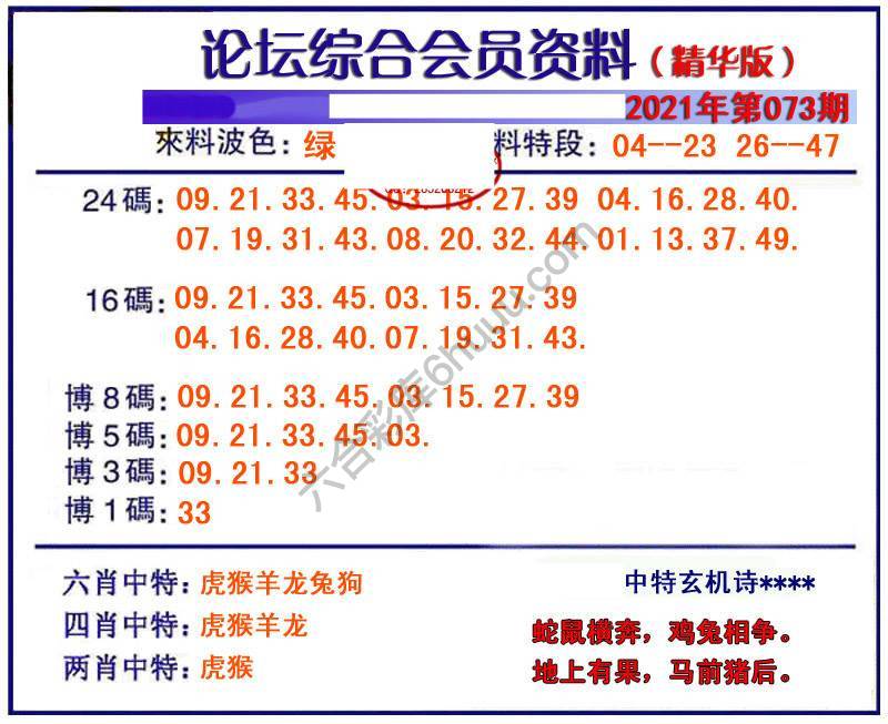 综合会员资料