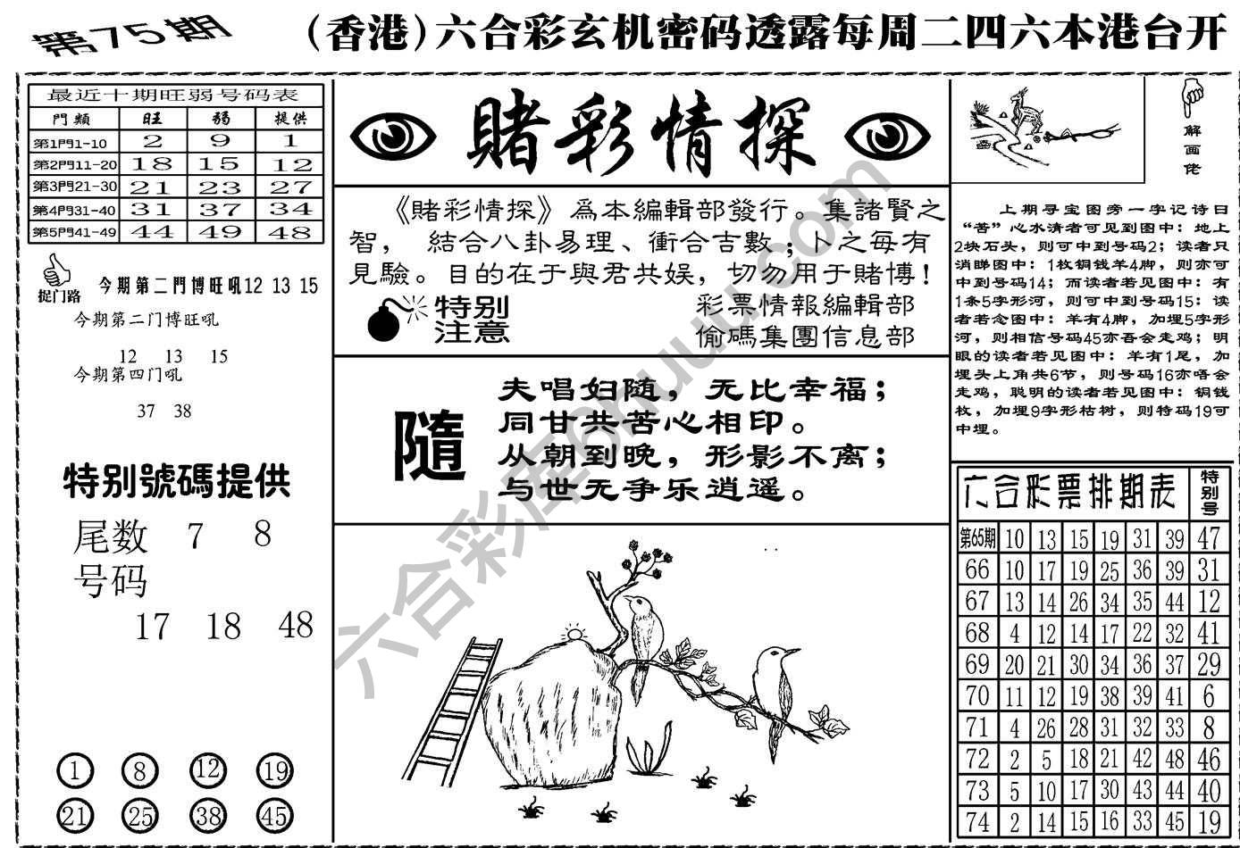 赌彩情探