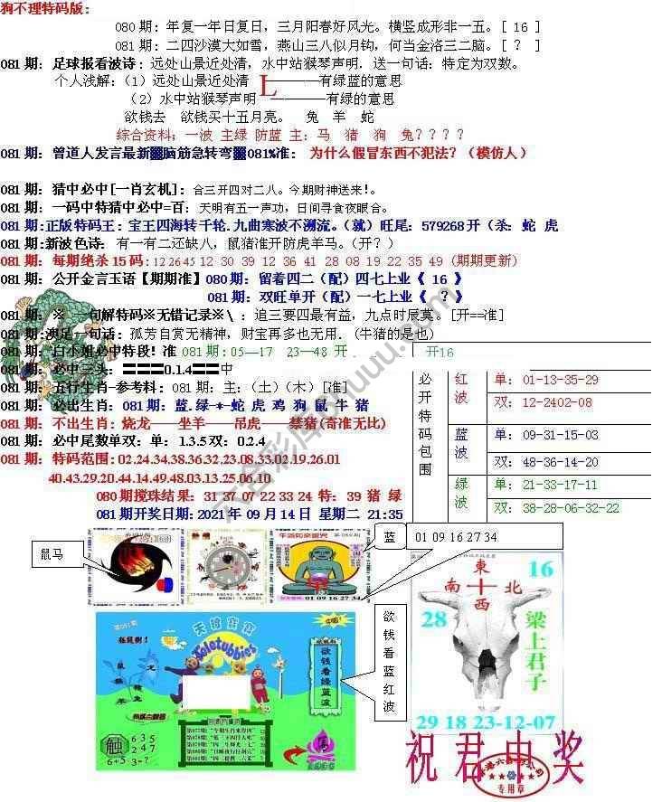 青龙五鬼报