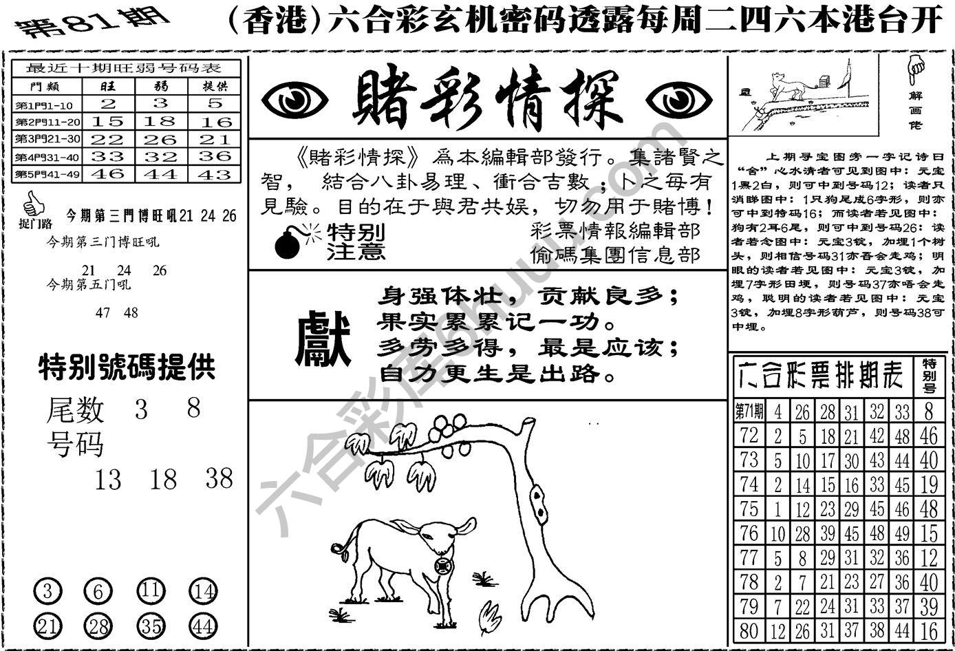 赌彩情探