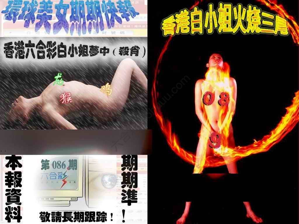 环球美女特码报