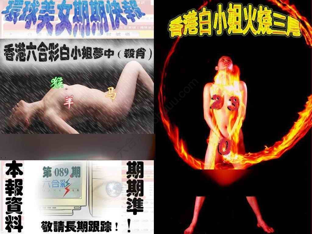 环球美女特码报