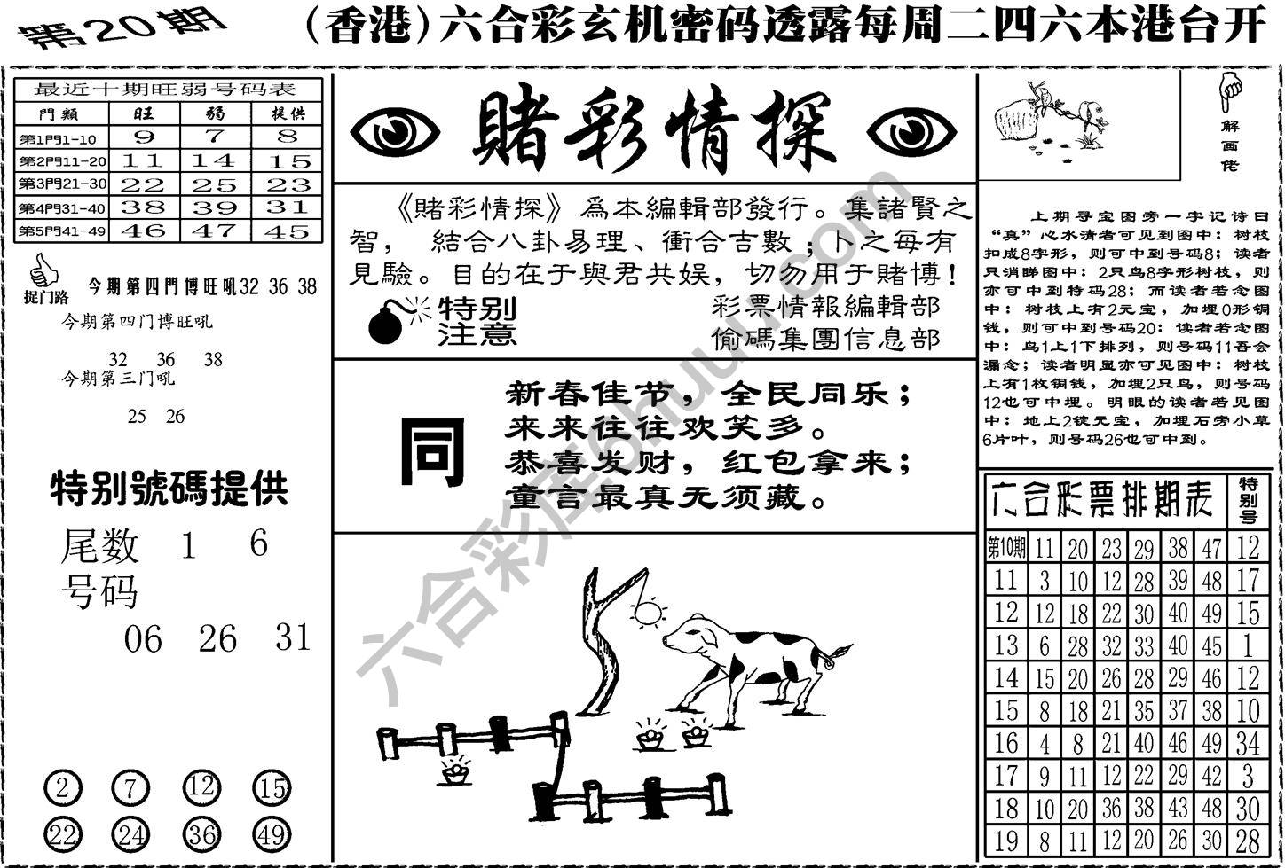 赌彩情探