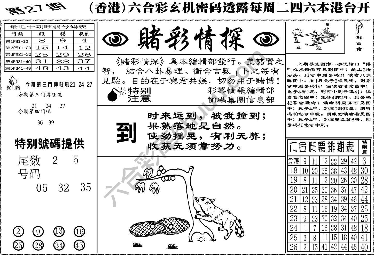 赌彩情探