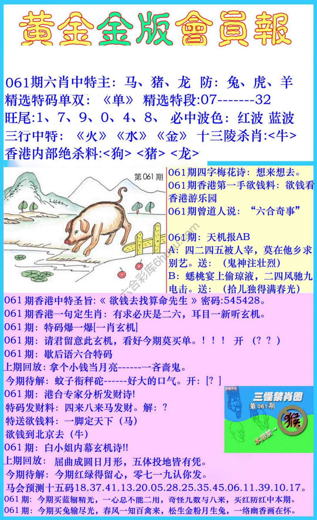 黄金金版会员报