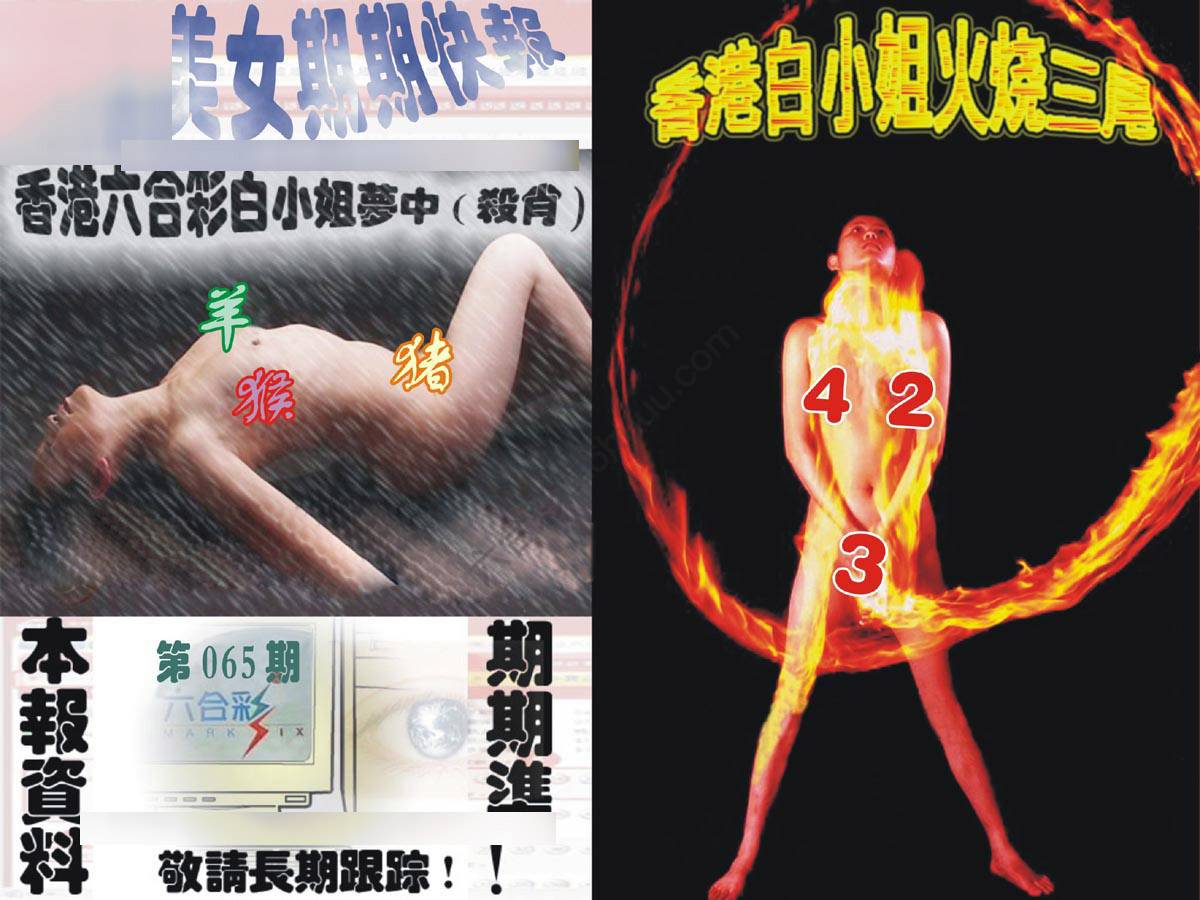 环球美女特码报